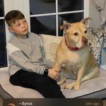 Tyrone masters - @tym168018 - Instagram