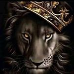 Tyrone Newell - @newellboy - Instagram