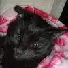 Tharon Ogletree - @tharon.ogletree - TikTok