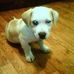 Tyrone Paschall - Facebook