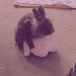 Tyrone Pearce - @kotw2003 - Instagram