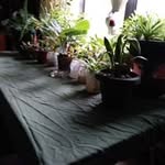 tyronepender - @tyronependersr - Instagram