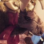 Tyrone Forsyth Pendleton III - @tyronesmooseadventures - Instagram