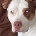 Tyrone Pettey - Facebook