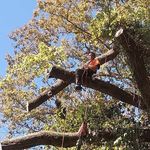 Bradley Tyrone Pike - @bamofo88 - Instagram