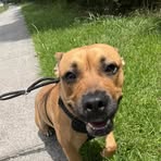 Tyrone Roach - Facebook