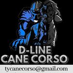 Tyrone Rodgers - @d_linecanecorso - Instagram