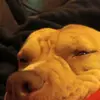 Tyrone Russell - @tyrone.russell6 - TikTok