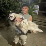 @tyrone_for_short - Instagram