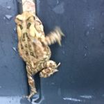 Tyrone Tillman Atkinson - @tyronetillmanatkinson - Instagram
