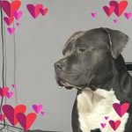 Tyrone Townes - @tyronetownes548 - Instagram