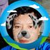 Tot Ty - Facebook