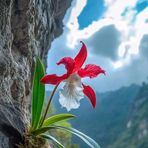 Tyrone Vargas Martines - Facebook