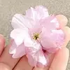 Maisie Tyrrell-Smith - @rae..xo11 - TikTok
