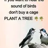 Tyson Brown - @tyson.brown962 - TikTok