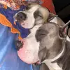 Tyson and Afina - @tyson.and.afina - TikTok