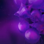 Tyson Danner - Facebook