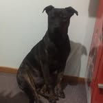 Tyson_Jarrett - @tyson_jarrett8 - Instagram