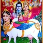 Uday Sonar - Facebook