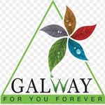 Galway Bussiness - @udit.gupta.1865904 - Instagram