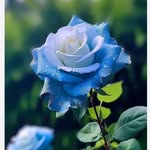 Ujjal Sen - @ujjalsen757 - Instagram