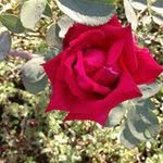 Ujjwal Patil - @patilujjwal - Instagram