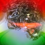 Ujjwal Patil - @ujjwalpatil52 - Instagram