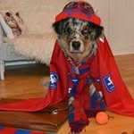 ulf jonsson - @jumpen1965 - Instagram