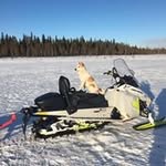 Ulf Nilsson - @uffenses - Instagram