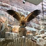 Ulf Nilsson - @lellulf - Instagram