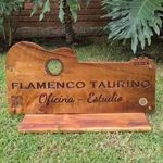Ulises Ayala - @flamencotaurino_oficina - Instagram