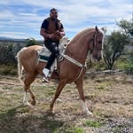 Ulises Chavez - @ulises__f4 - Instagram