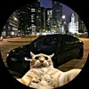 Ulises Herrera - @ulises.herrera1 - TikTok