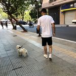 Ulises Lara - @uliseslaar - Instagram