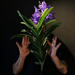 TALLER DE DISEÑO FLORAL- by Ulises Martínez - @ulises_martinez_reynoso - Instagram