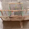 ulises medrano 40 - @ulises.enano1 - TikTok