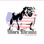 Ulises Miranda - @chapubulls_usa - Instagram