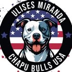 Ulises Miranda - @miranda_travel_pets - Instagram