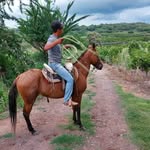 Ulises palma - @ulisespalma41 - Instagram