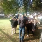 ulises peña - @_ulises_pena - Instagram
