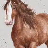 Ulises Plata - @ulisesplata4 - TikTok