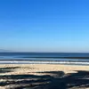 Ulises Preciado110 - @ulises.preciado - TikTok