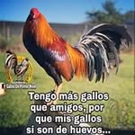 Ulises Preciado - @ulises.preciado.3344 - Instagram