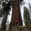Ulises  Ramírez - @ulises.ramrez32 - TikTok
