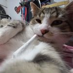 Ulises Rendón - @_ulaisses_ - Instagram