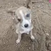Ulises Rosales - @ulises.rosales2 - TikTok