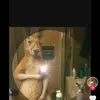 Ulises Rubio - @ulises.rubio4 - TikTok