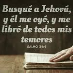 Ulises Salcedo Pumacallahui - @ulisessalcedopumacallahui - Instagram