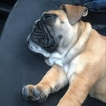Ulises Sandoval - @just1too - Instagram