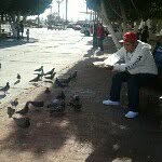 Ulises Sandoval Lopez - @ulises_sandoval - Instagram